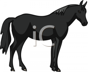 Horse Clipart