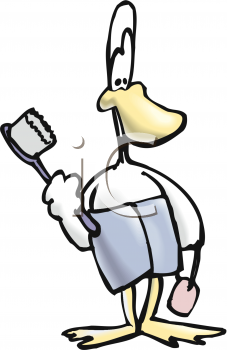 Duck Clipart