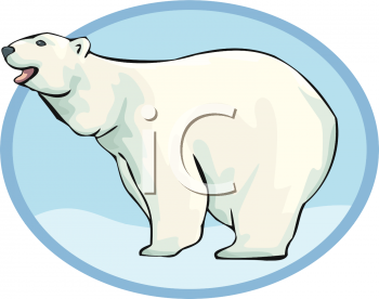 Bear Clipart