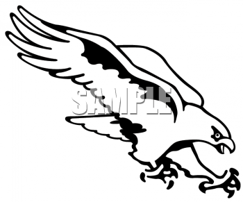 Hawk Clipart