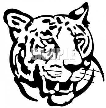 Tiger Clipart