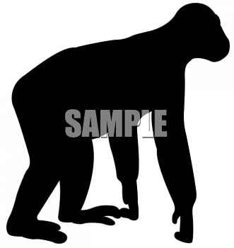 Gorilla Clipart