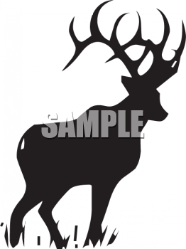 Moose Clipart