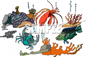 Lobster Clipart