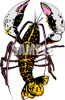 Lobster Clipart