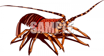 Lobster Clipart