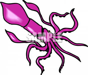 Octopus Clipart