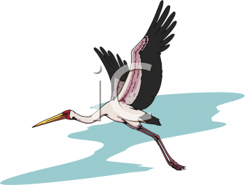 Stork Clipart