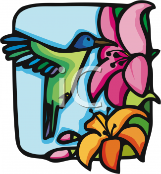 Hummingbird Clipart