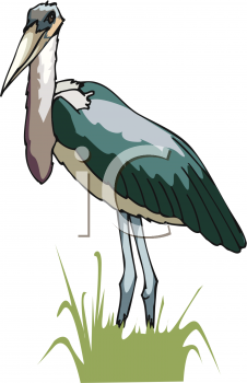 Stork Clipart