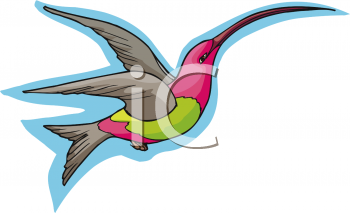 Hummingbird Clipart