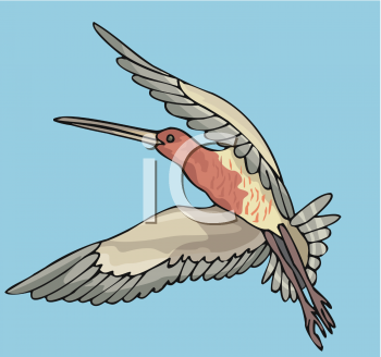 Hummingbird Clipart