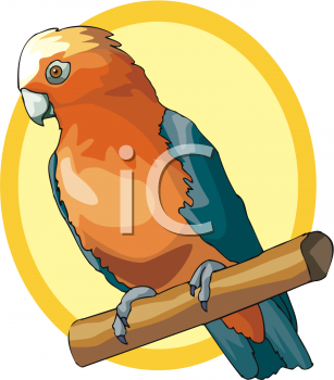 Parrot Clipart