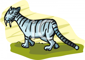 Tiger Clipart