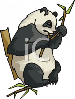 Panda Clipart