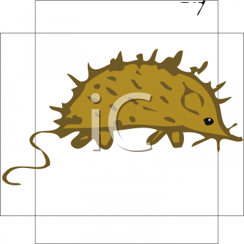 Hedgehog Clipart