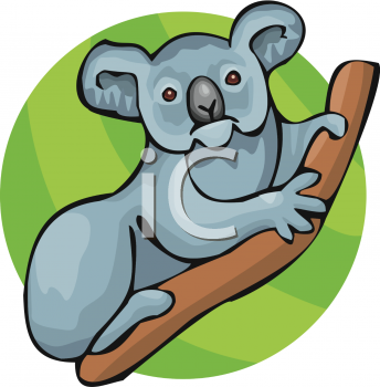 Koala Clipart