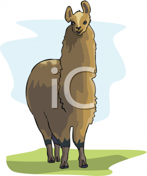 Llama Clipart