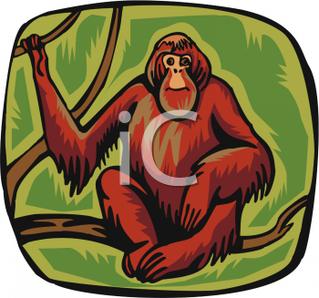 Orangutan Clipart