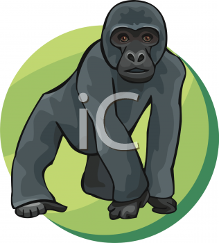 Gorilla Clipart