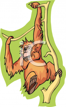 Orangutan Clipart