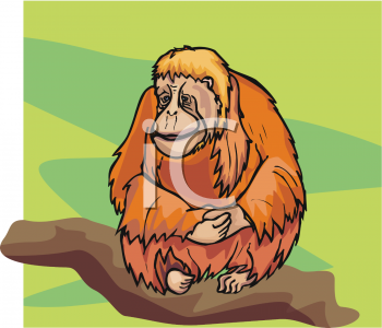 Orangutan Clipart