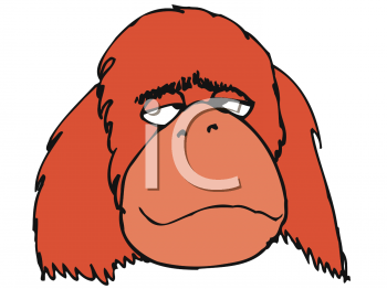 Orangutan Clipart