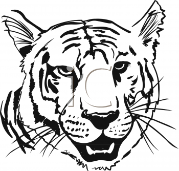 Tiger Clipart