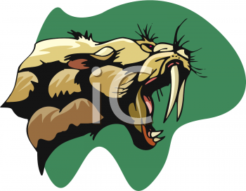 Tiger Clipart