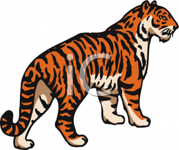 Tiger Clipart