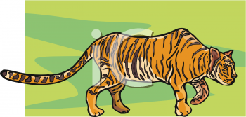 Tiger Clipart