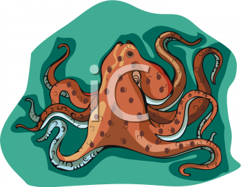 Octopus Clipart