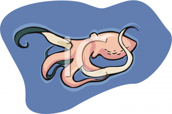 Octopus Clipart