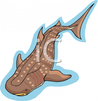 Shark Clipart