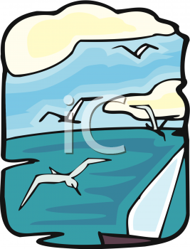 Seagull Clipart