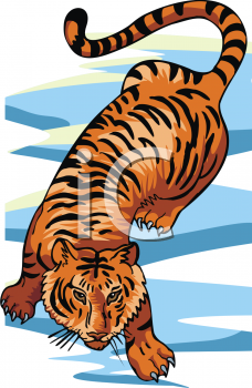 Tiger Clipart