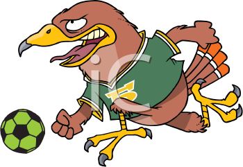 Hawk Clipart