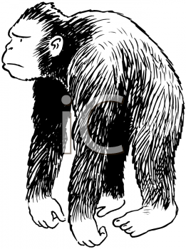 Gorilla Clipart