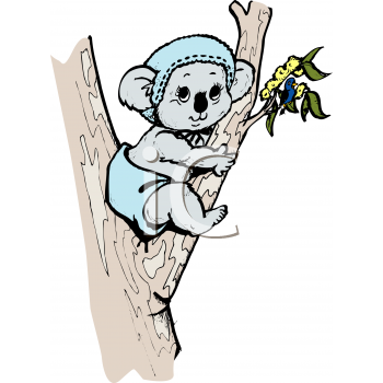 Koala Clipart