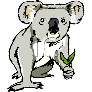 Koala Clipart