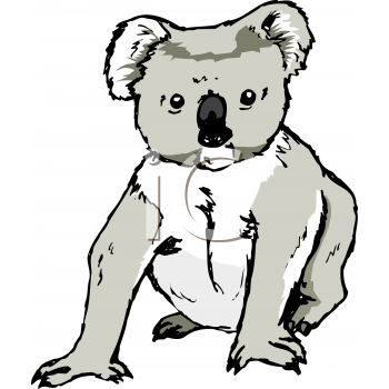 Koala Clipart