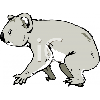 Koala Clipart