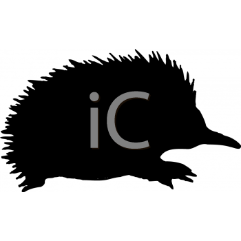 Hedgehog Clipart