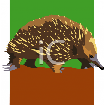 Hedgehog Clipart