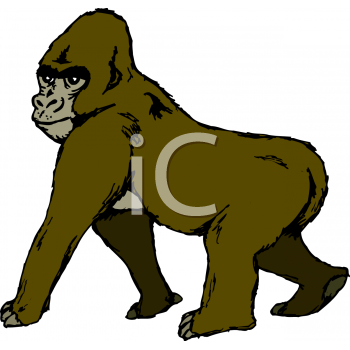 Gorilla Clipart