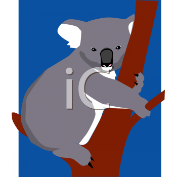 Koala Clipart