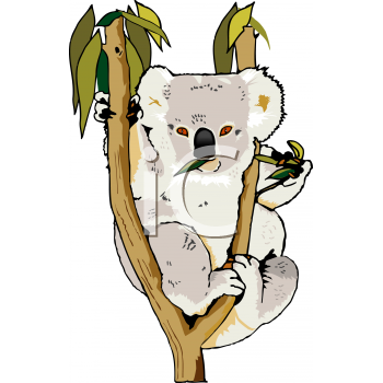 Koala Clipart