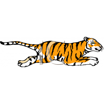 Tiger Clipart