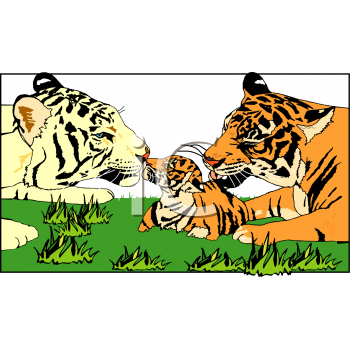 Tiger Clipart