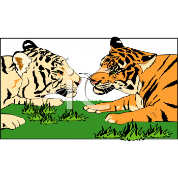 Tiger Clipart